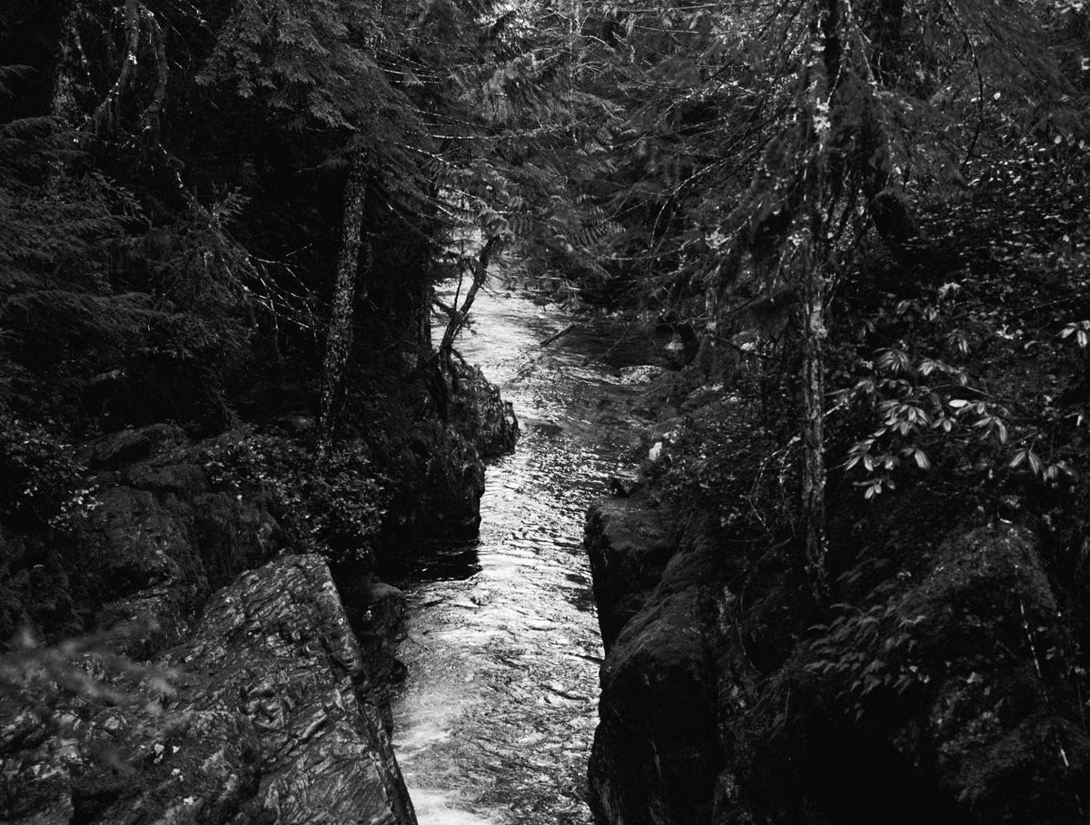 Film Photography #1 – Cascade Mountains & Oregon Coast